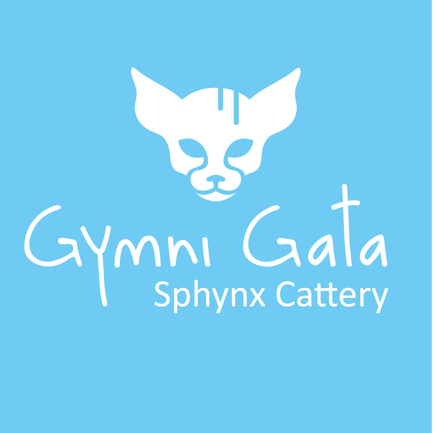 logo Joanna Brandys 